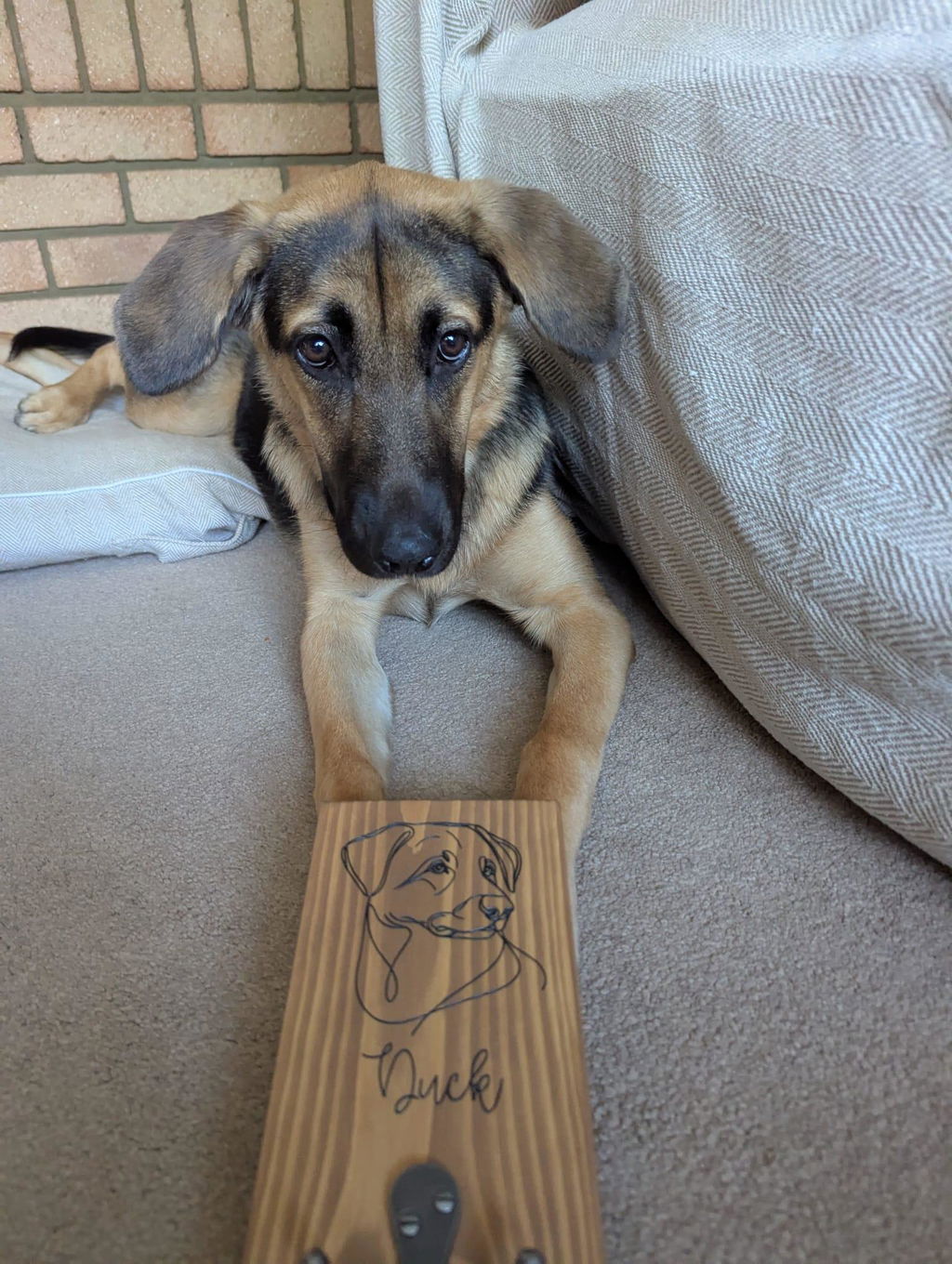 Customer review photo 1