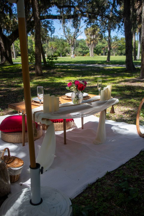Picnic Goals