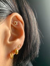 T. review photo