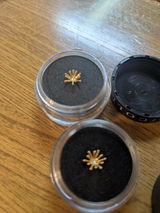ワ. review photo