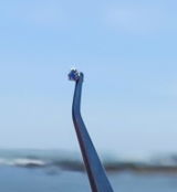 c. review photo