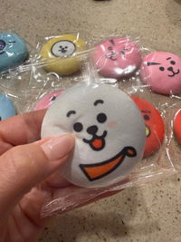 BT21 Plush Badge