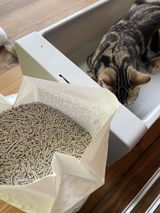 ふー猫家族 review photo