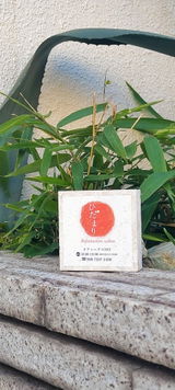 匿名 review photo