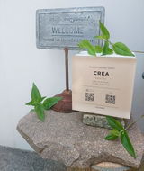 匿名 review photo
