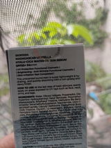 Alma Davila review photo