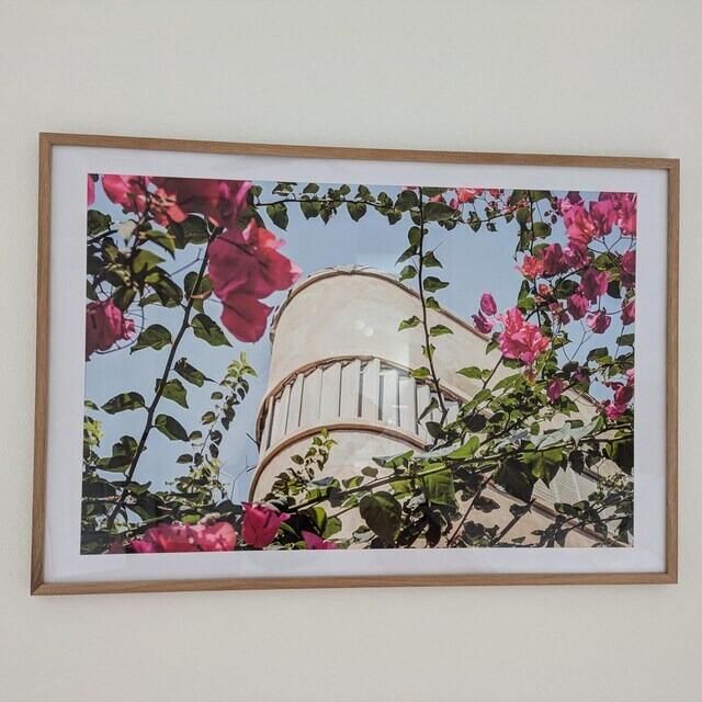 Bauhaus Architecture Print – Tel Aviv Poster with Pink Flowers