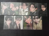 Dani review photo