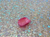 Shelly review photo