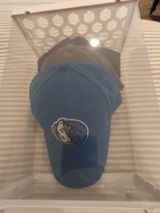 Palyn review photo
