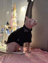 Victoria M. review photo