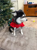 Daisy’s m. review photo