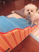 Santany S. review photo