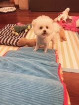Santany S. review photo