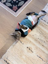 Jackie T. review photo