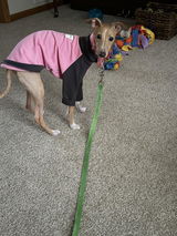 Renae A. review photo