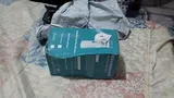 Sofia S review photo