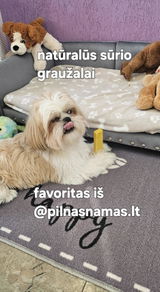 Žana B. review photo