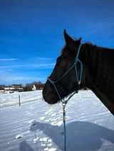 Franzi O. review photo
