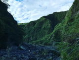 David P. review photo