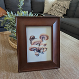Lily review photo