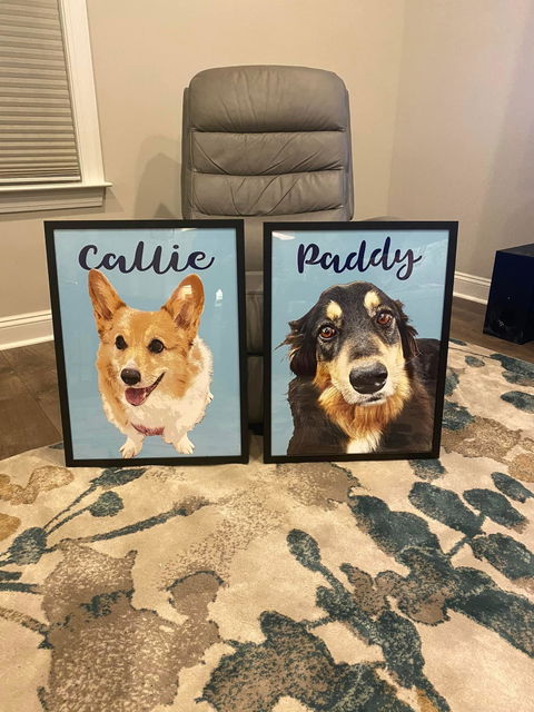 Framed Poster