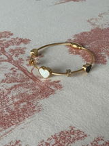 Shirin review photo
