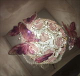 Liu review photo