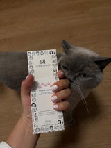 Elly W. review photo