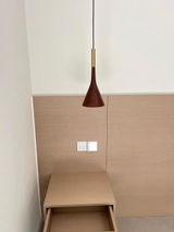 Lincoln Ruiz review photo