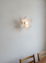 Nova James review photo