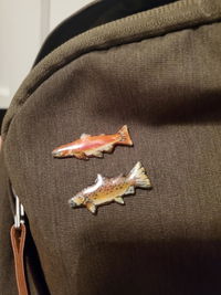 Rainbow Trout