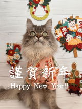 匿名 review photo