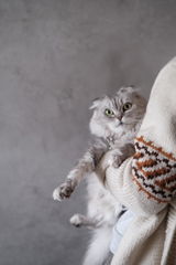 nya review photo