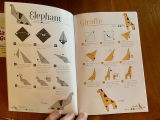 Scout review photo