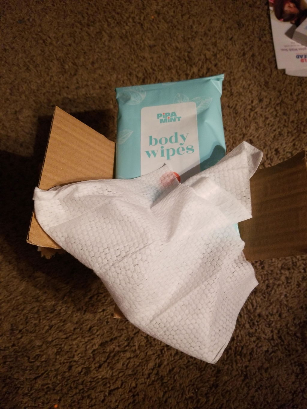 Body Wipes - 50 XL Shower Body Wipes for Bathing, Traveling, Camping, Gym, Car, for Adult and Elderly