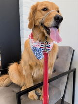 RosieTheGoldenTherapyDog review photo