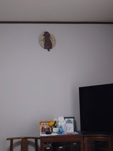 匿名 review photo
