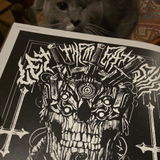 Hava review photo
