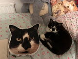 Etsy customer review photo