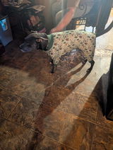 Cheryl Homan review photo