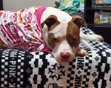 Crystal Hulon review photo