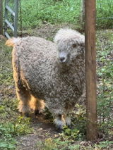 High Ground Farm review photo