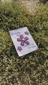 Maia Bouza review photo