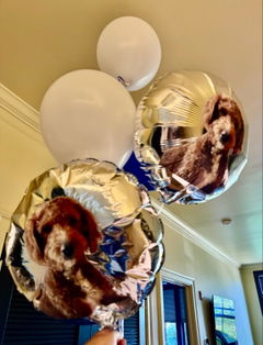 Photo from Gregory Foley's review of Personalized Round Foil Balloon 17 Inch - Custom Event Decoration