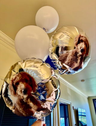 Photo from Gregory Foley's review of Personalized Round Foil Balloon 17 Inch - Custom Event Decoration