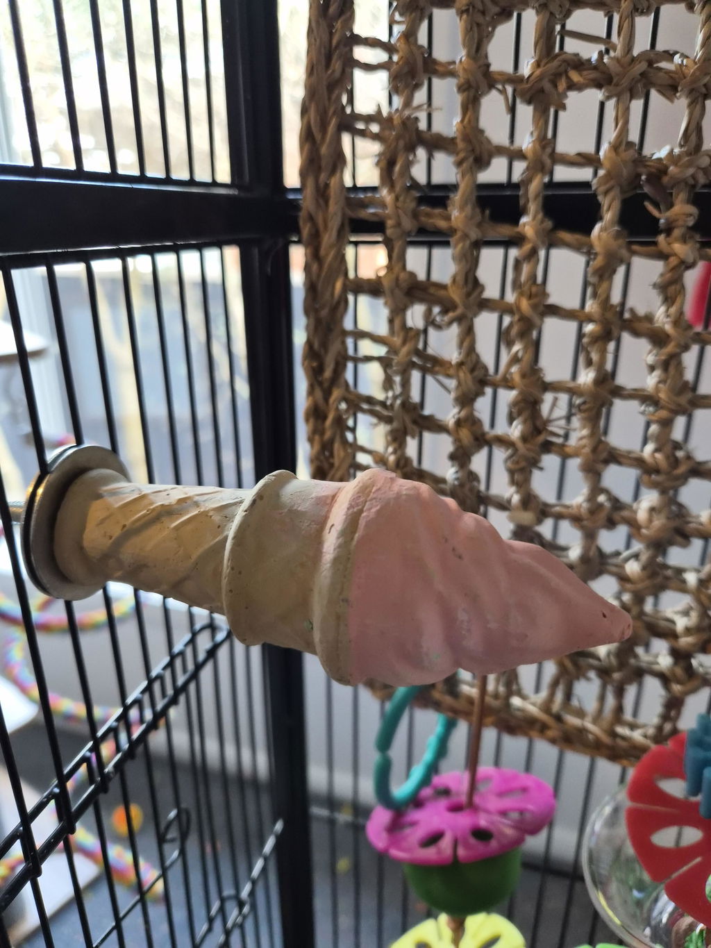 Cinnamon Ice-cream Perch Calcium Chew