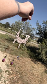 Customer photo 1 from P.A.