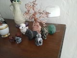 Customer photo 1 from C.P.