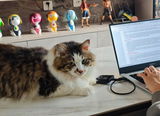 Hugo review photo